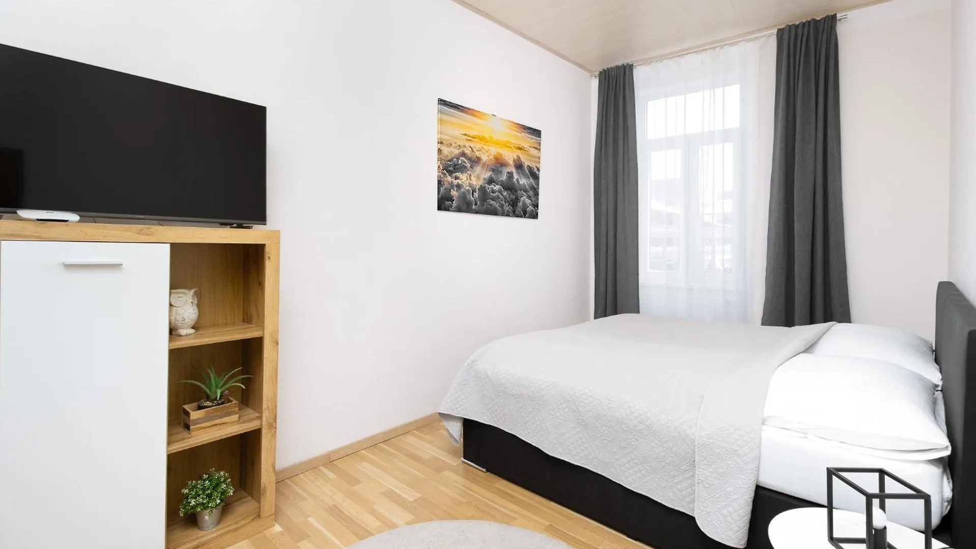 Apartment Johannitergasse Vienna